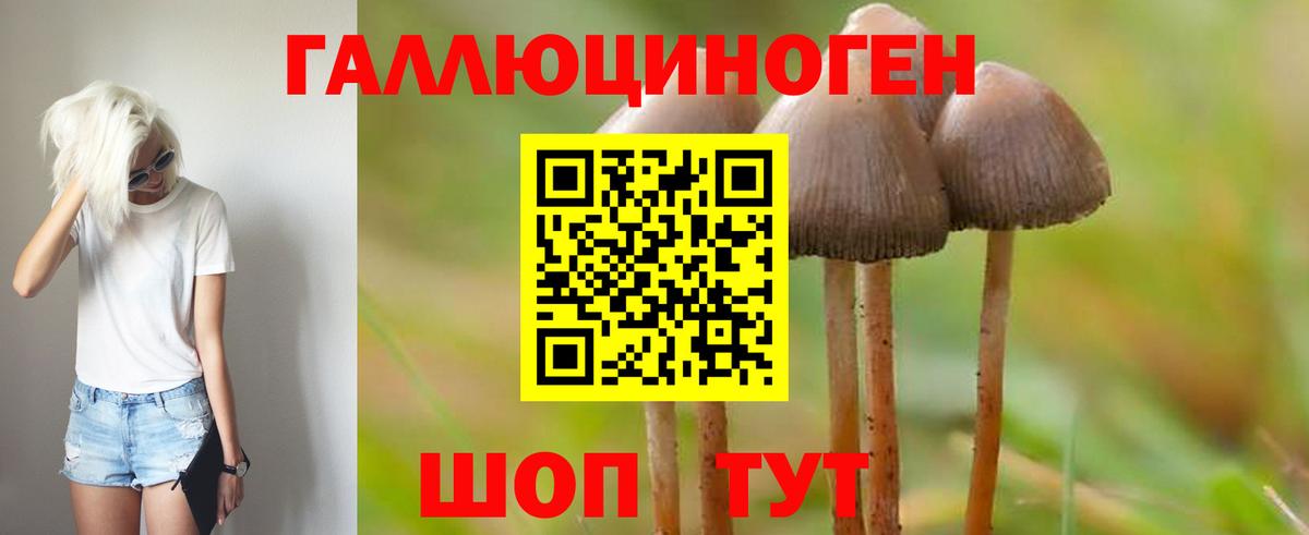 Галлюциногенные грибы мухоморы Алексеевка